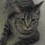 Faye Denton's profile image