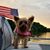 Chasidy Weddle's profile image