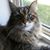Wendy Seger's profile image