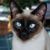 Kathy McAuley's profile image