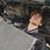 Kass Autobody's profile image