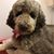 Ann Weiss's profile image