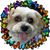 Connie Bukowski's profile image