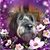 Ann Padelford Benson's profile image