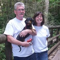 Robert Paul Wyatt's profile image