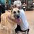 Lorraine Ann Youngberg's profile image