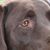 Justin R. Hertlein's profile image