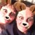 Debbie Starr Denning's profile image