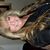 Susan Brand's profile image