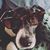 Lindsay Price's profile image