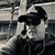 Matt Menzi's profile image