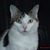 Mary Jo LaCorte's profile image
