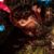 Shauna L Mills's profile image