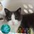 Mary Coffin's profile image