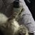 Tammy Mathes's profile image