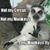 Peter Jeffries's profile image