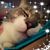 Barbara Barry's profile image
