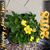 Gladys Schiellack Yarbrough's profile image