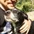Todd Feren's profile image