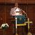 Rob Fuller's profile image