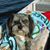 Michael Sean Batten's profile image