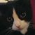 Sheri Kali Reed's profile image