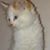 Teresa Parrish's profile image