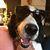 Brian Wiegand's profile image