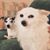 MaryBeth Grape's profile image