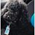 Judith Hibbard's profile image