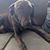 Emily Gunter's profile image