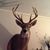 Jeff Mehaffey's profile image