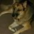 Debbie Rusk's profile image