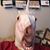 Michael Brandimarte's profile image