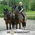 Eduard Thalmayr's profile image