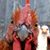 Fred Bennett's profile image