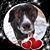Rhonda Mayorga's profile image