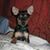 Keran Walton's profile image