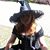 Mireille H. Lodewijks's profile image