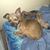 Sandra Petrey's profile image
