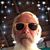 Alan Nesensohn's profile image