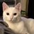 Shelia Pearce's profile image
