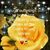 Gale Hall-Cunningham's profile image