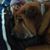 Noma Schwyn's profile image