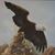 Peggy Etheredge Tindle's profile image