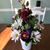 Tonya Fortune Haynes's profile image