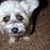 Debbi Hall's profile image