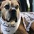 Wanda Garner Crenshaw's profile image