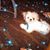Judy Russell Evors's profile image