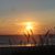 Tim Browne's profile image